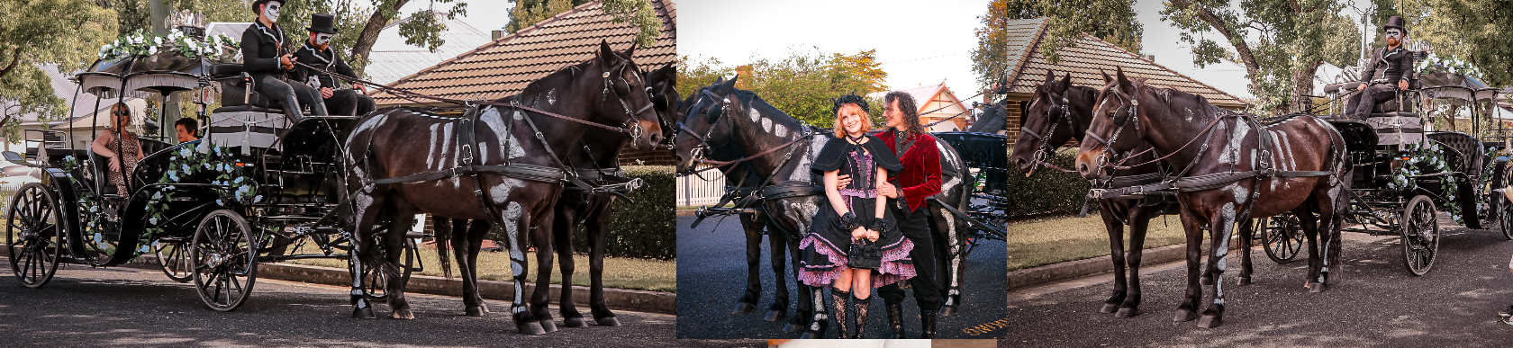Cinderella Halloween Carriage Rides at Lorn, NSW 